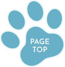 PAGE TOP